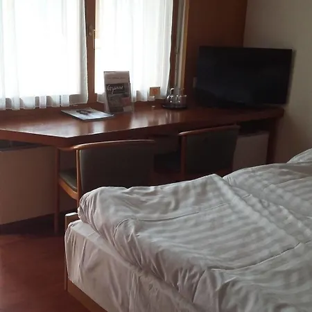 Des Sports 3* Martigny