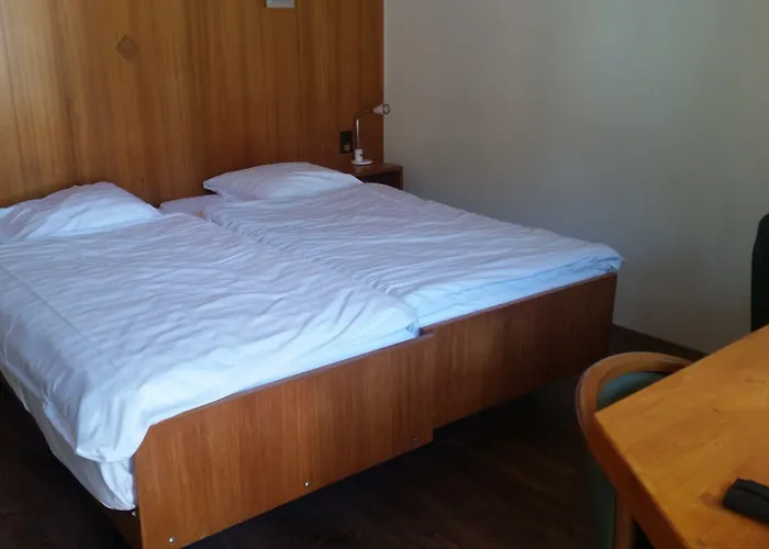 汽车旅馆 Des Sports Martigny