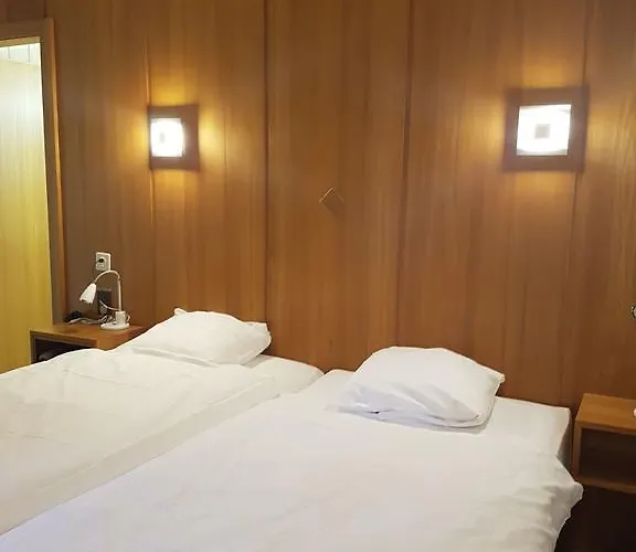 Des Sports 汽车旅馆 Martigny